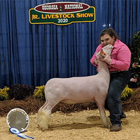 Shuck Show Lambs Winners