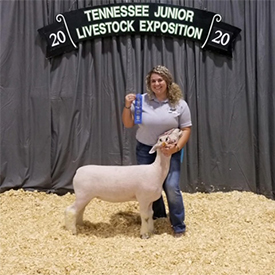 Shuck Show Lambs Winners